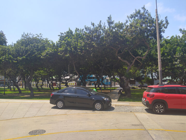 Berma de estacionamiento_