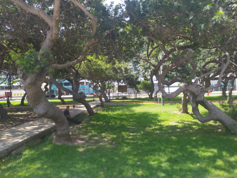 Parque San Borja Sur-