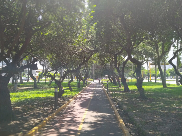 Parque San Borja Sur 2-