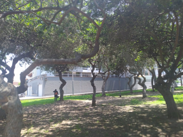 Parque San Borja Sur 3-
